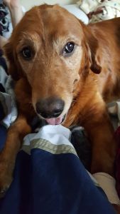 Buddy15302e3.jpg