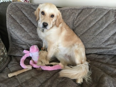 Zoe15275c1.JPG