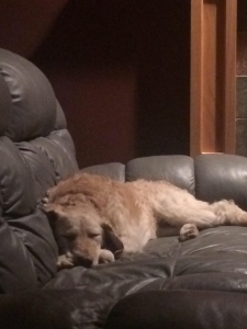 Annie16271f1.jpg