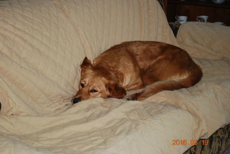 Belle16026TDd1.jpg