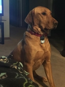 Brody16001k1.jpg
