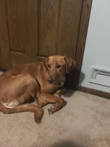 Brody16001k2.jpg