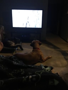 Brody16001k3.jpg