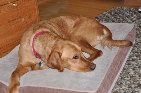Brody16001l1.jpg