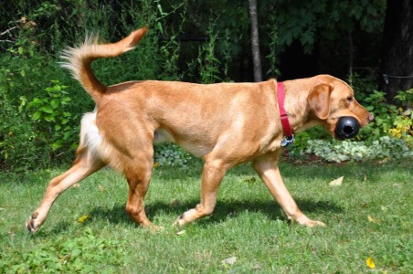 Brody16001l2.jpg