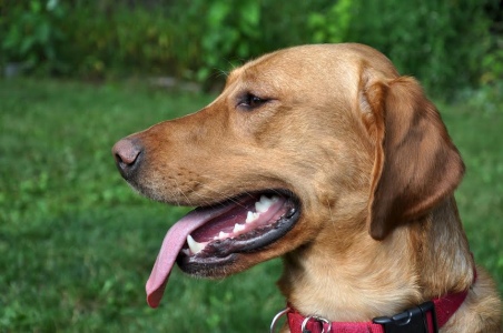 Brody16001l3.jpg