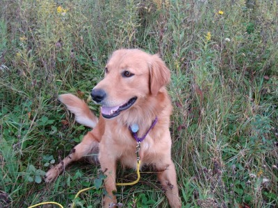 Buddy16219d1.jpg