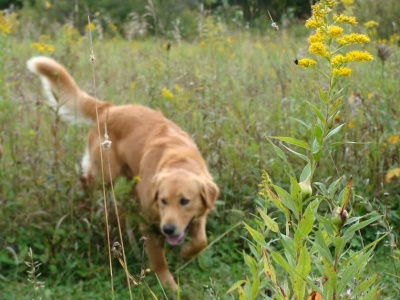 Buddy16219d4.jpg