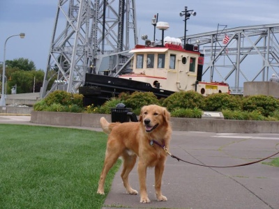 Buddy16219e4.jpg