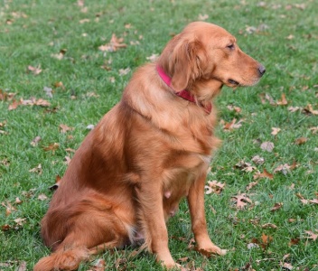 Macy16251c5.jpg