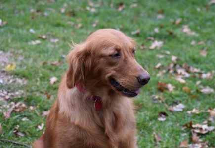 Macy16251d1.jpg