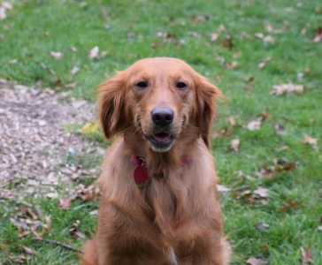 Macy16251d3.jpg
