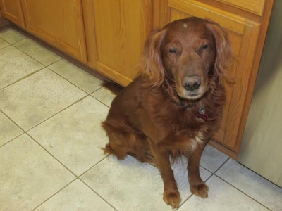 Marley16258d1.jpg