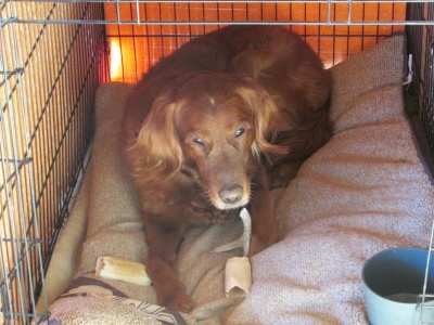 Marley16258d3.jpg
