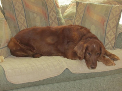 Marley16258f1.jpg