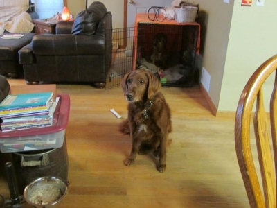 Marley16258f3.jpg