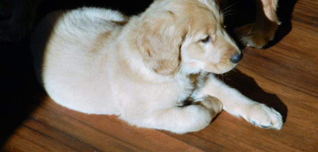 Nick16281e2.jpg