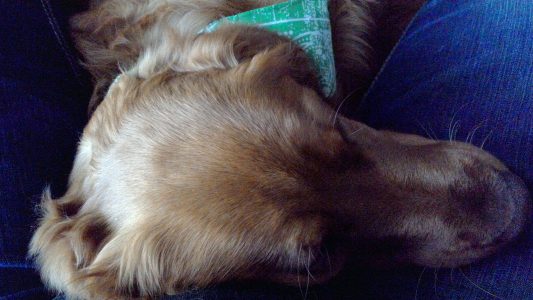 Tucker16015d2.jpg