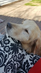 Walter16071TDc3.jpg