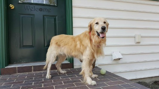 Walter16071TDd1.jpg