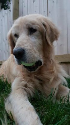 Walter16071TDe1.jpg