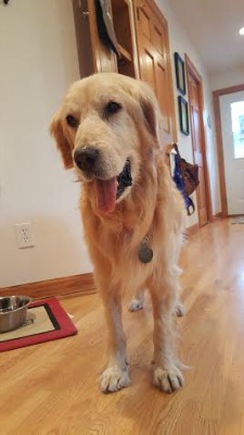 Walter16071TDe4.jpg