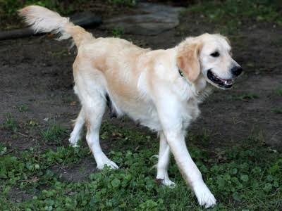 Willa16201d1.jpg