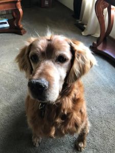 Benny17108d1.jpg