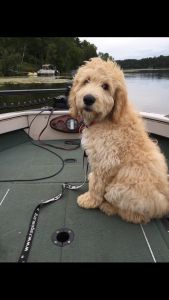 Charlie17142d1.jpg