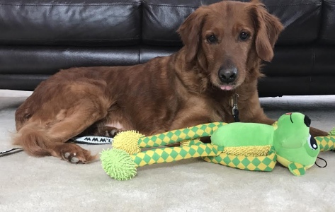 Maggie17011c2.jpg