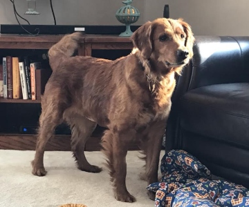 Maggie17011c3.jpg