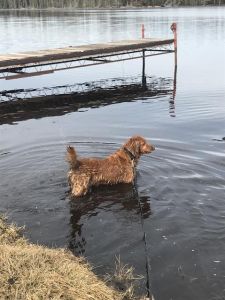 Maggie17011d3.jpg