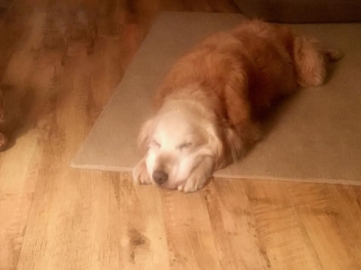 Murphy17002g1.jpg