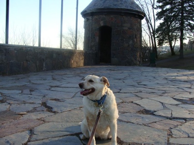 Nala17075b3.jpg