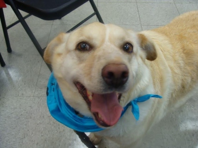 Nala17075c2.jpg