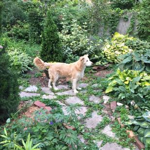 Maggie 07-645