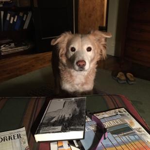 Maggie 07-645