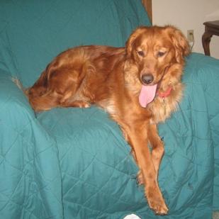 Lady 11-296
