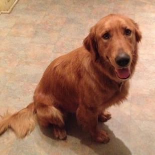 Maggie 14-106