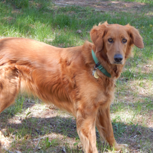 Maggie 14-106