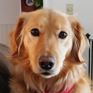 Mia (Bingo 17-236)