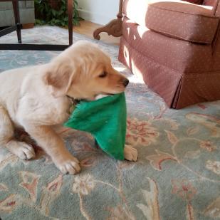 Riley with his towel.