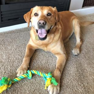 Sadie 18-280