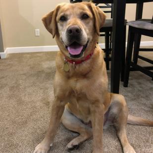 Sadie 18-280