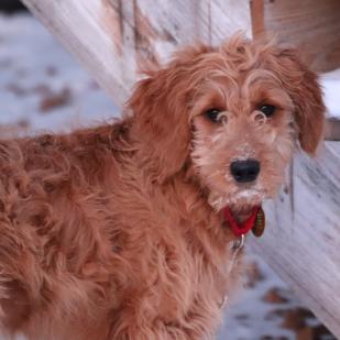 Trudy 18-257