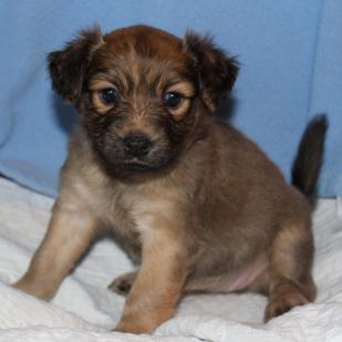 Edith 19-077