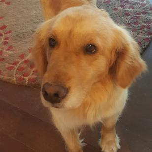 Ellie 19-059A