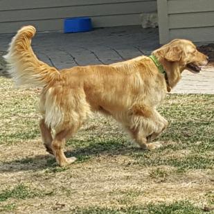 Ellie 19-059A