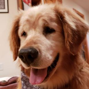 Jake 19-171