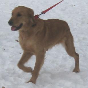 Lilah 19-264
